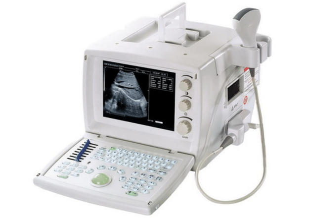 WELLD WED-9618 Ultrasound Basic