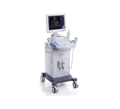 Ultrasound Black/White trolley 15" LCD monitor 2 proble 128 element convex +transvaginal